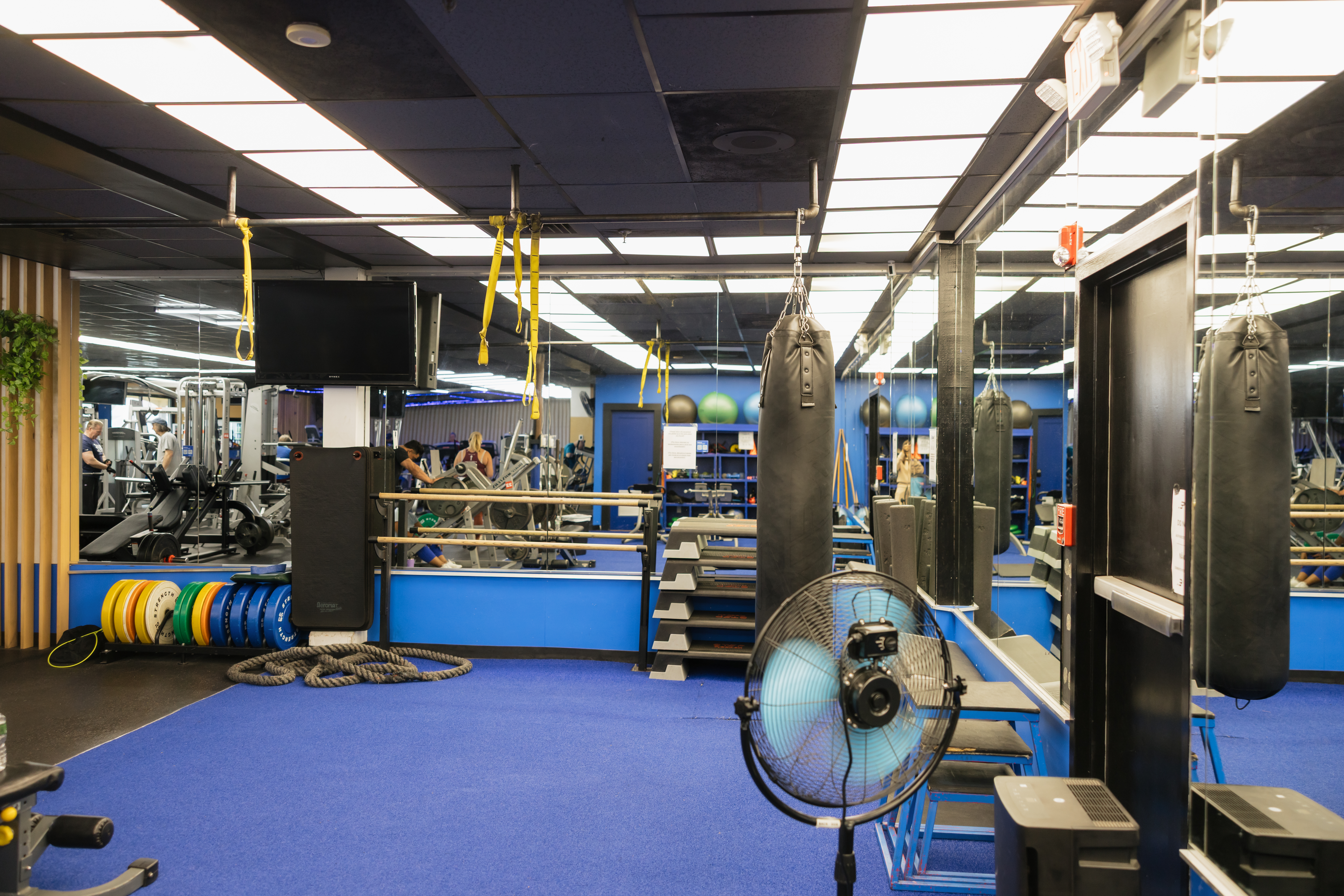 BlueFit Gym